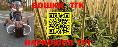 МДПВ Краснознаменск