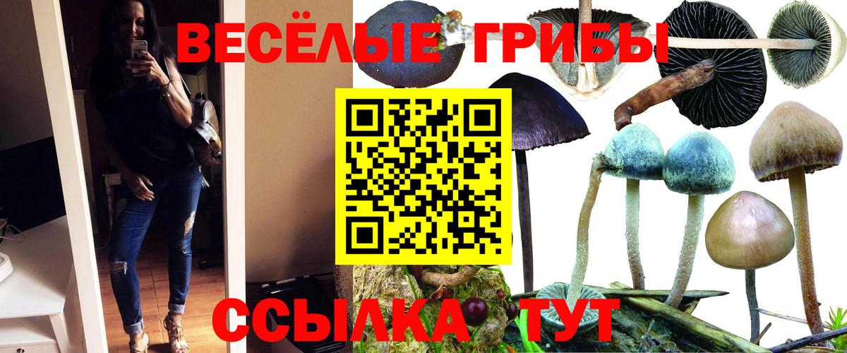 Марихуана Салехард
