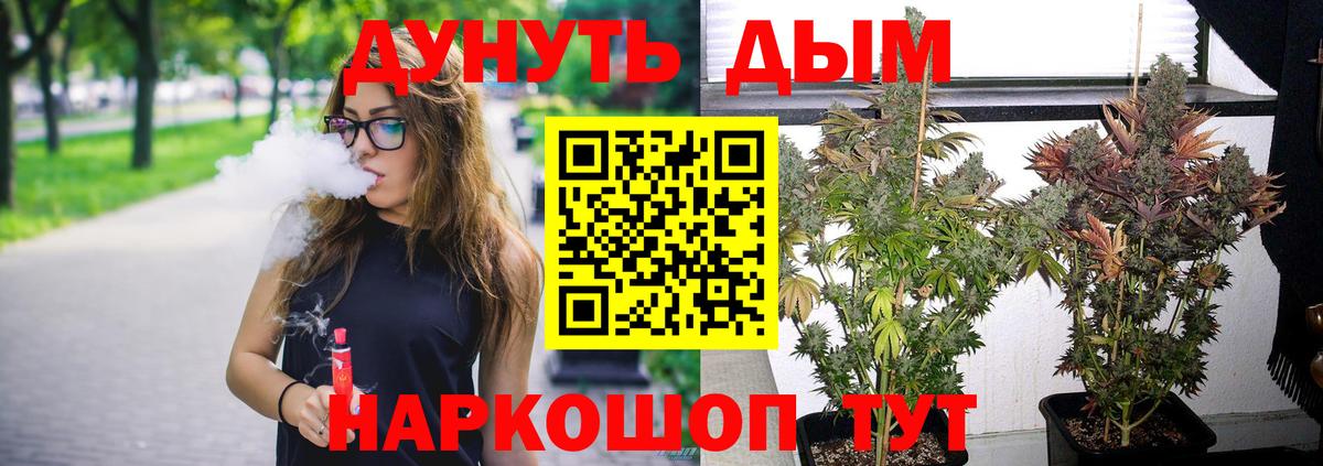Канабис конопля Салехард